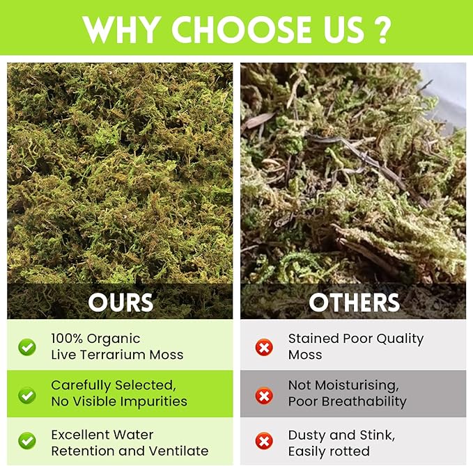 Riare 21 OZ Premium Sphagnum Moss for Reptiles- 50QT Natural Live Moss Reptile Moss Bedding for Terrarium, Hatching, Forest Sphagnum Moss Reptile Substrate for Snakes, Gecko, Turtles, Frogs, Leopard Riare