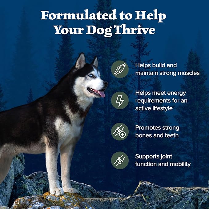 Blue Buffalo Wilderness Natural High-Protein Dry Food for Adult Dogs, with Wholesome Grains, Duck, 13-lb bag. - PAWPICO
