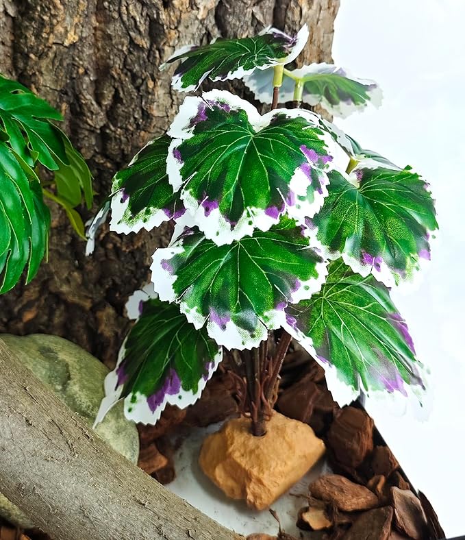Woyrise Reptile Artificial Plants for Terrarium Decor, Amphibian Habitat Decorations Bearded Dragon Tank Accessories fit Crested Gecko Leopard Lizard Chameleon Snake Frog - White Edge Heuchera Woyrise