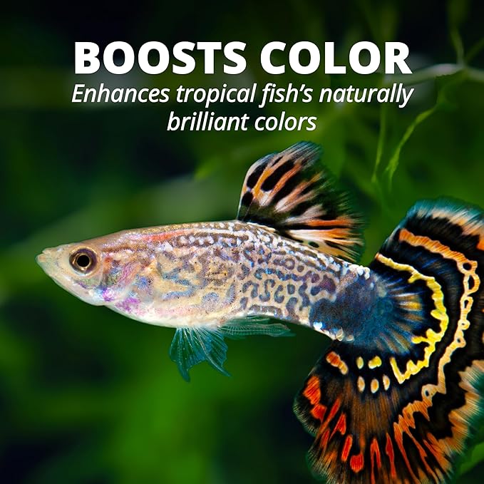 TetraColor Tropical Flakes, Color Boosting Fish Food, Nutritionally Balanced Diet for Tropical Fish, 2.2 lbs Tetra