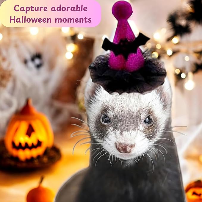 Ferret Hat with Adjustable Strap, Purple Bat Hats for Small Pet Chinchilla Squirrel Bunny Rabbit Dog, Ferret Costumes for Halloween, Guinea Pig Halloween Costume, Ferrets Accessories (Halloween) HomedyCrafts