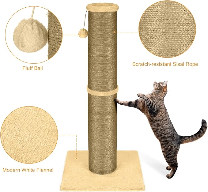 PAWSCRAT Cat Scratching Post 32 Inch High, 5.5 Inch Large Diameter Natural Sisal Cat Scratch Post, Scratch-Resistant and Durable Tall Cat Scratcher for Indoor Cats, Protect Your Furniture, Yellow - PAWPICO