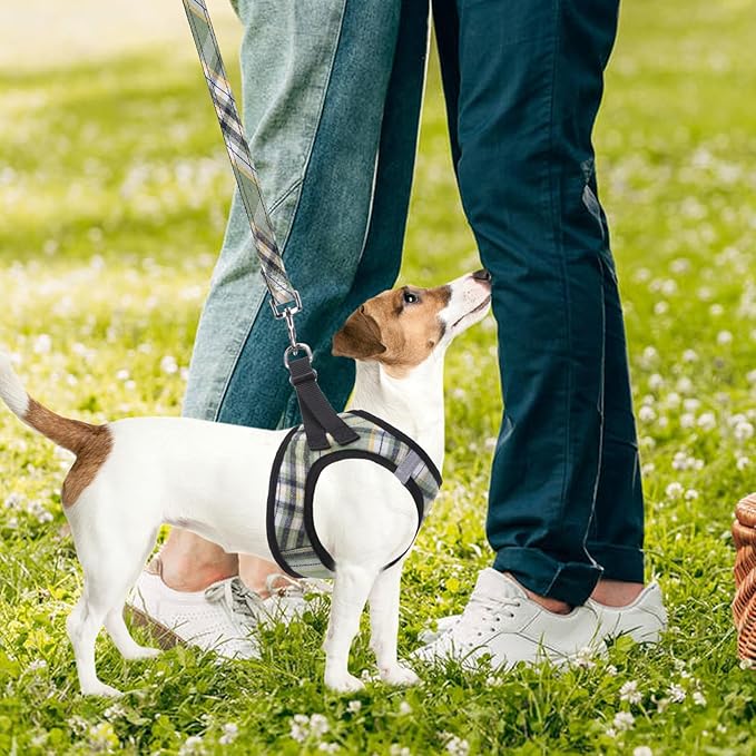 PUPTECK Adjustable Dog Harness Collar and Leash Set Step in No Pull Pet Harness for Small Medium Dogs Puppy and Cats Outdoor Walking Running, Soft Mesh Padded Reflective Vest Harnesses, Grn&YLW, S PUPTECK