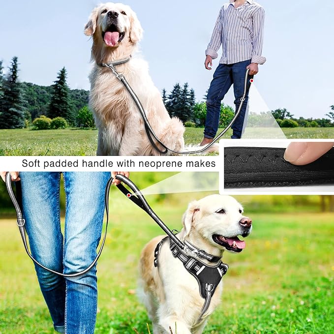 WINSEE Pet Harness Collar and Leash Set, All-in-one Reflective Dog Harness No Pull with Adjustable Buckles for Puppies, Small, Medium, Large, and Extra-Large Dogs (Large, Black) WINSEE