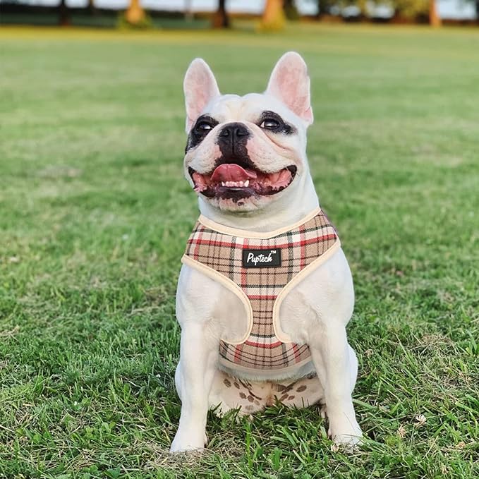 PUPTECK Soft Mesh Dog Harness and Leash Set Pet Puppy Cat Comfort Padded Vest No Pull Harnesses, Khaki, XS PUPTECK