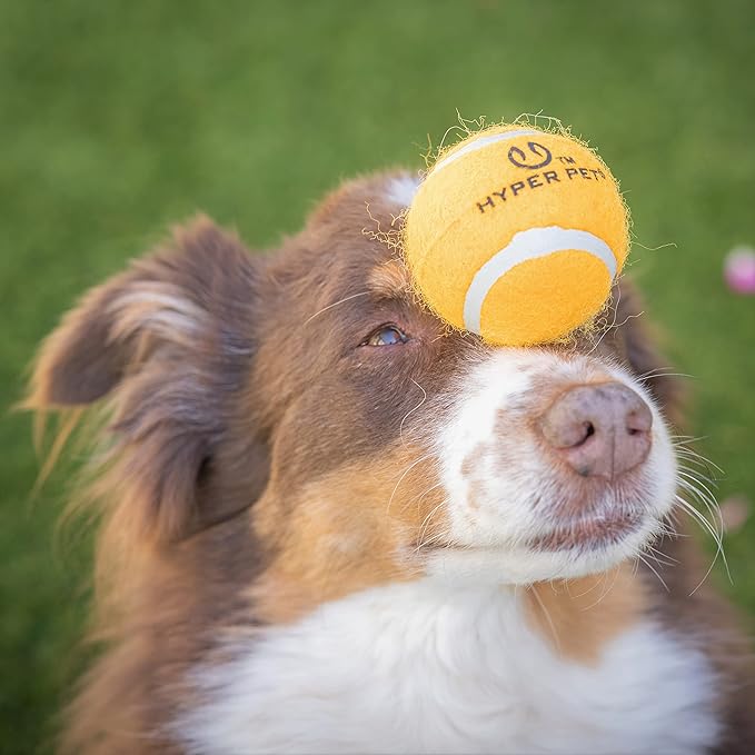 Hyper Pet Tennis Balls for Dogs (Pet Safe Ball for Exercise and Training) Interactive Dog Toys work with Hyper Pet K9 Kannon K2 Dog Ball Launcher - 4 Pack 2.5" Orange - PAWPICO