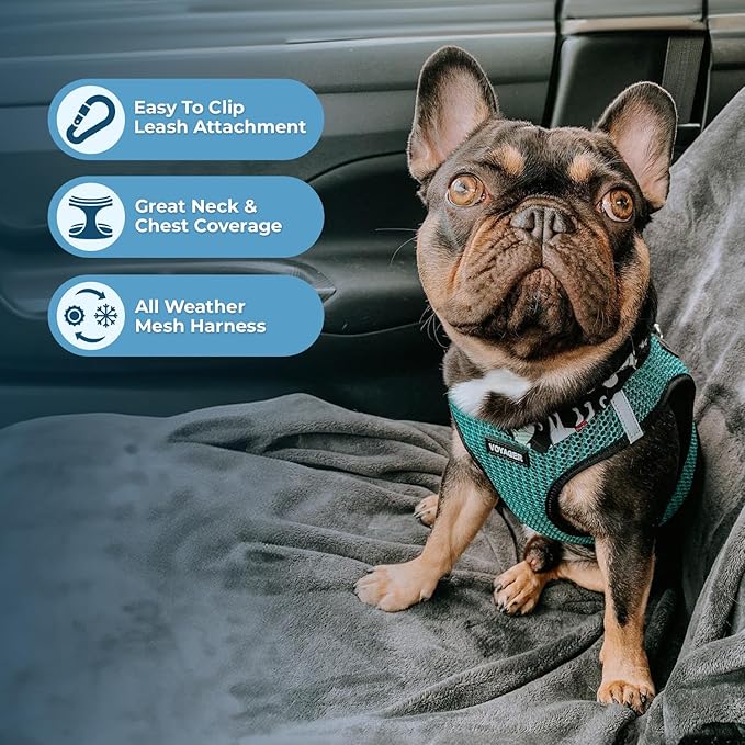 Voyager Step-in Air Dog Harness - All Weather Mesh, Reflective, No Pull Harness for Small, Medium Dogs, Cats - Secure with Hook & Loop Fastener, Buckle, Double D-Rings - Turquoise 2-Tone, L BestPetSuppliesLLC
