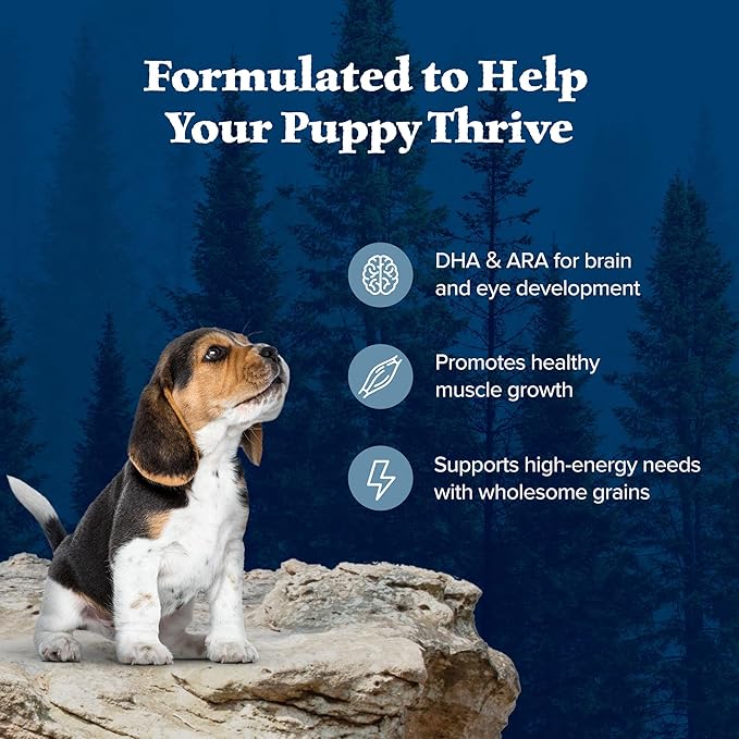 Blue Buffalo Wilderness High-Protein Natural Dry Food for Puppies, Chicken Recipe, 24-lb. Bag - PAWPICO