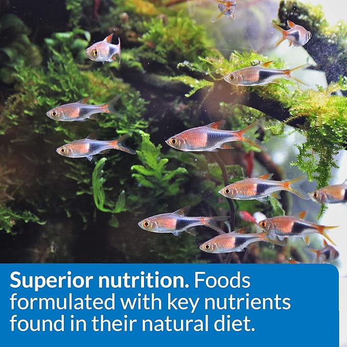 API TROPICAL FLAKES Fish Food 5.7-Ounce Container API
