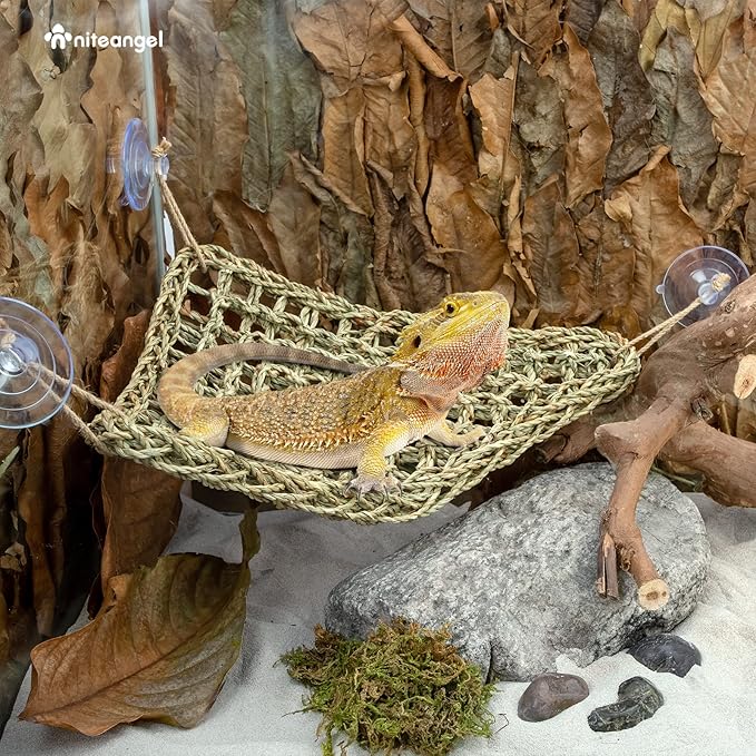 Niteangel Bearded Dragon Hammock Reptile Lounger for Chameleon, Lizards, Gecko, Snakes, Lguana Reptiles, Geckos (Triangle 17'' x 12.5'') Niteangel