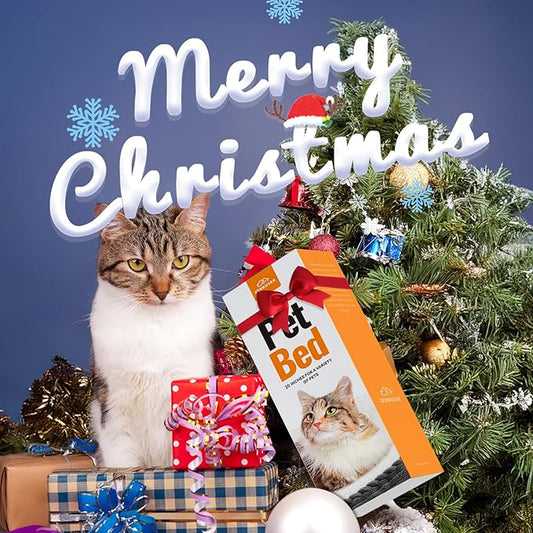 Cat Dog Bed for Pets, Rectangle Pet Bed Gift for Puppy and Kitten, Machine Washable Calming Fluffy Pet Couch Sofa for Indoor Outdoor, Portable Soft Cat Bed with Non-Slip Bottom (Small, Blue) - PAWPICO