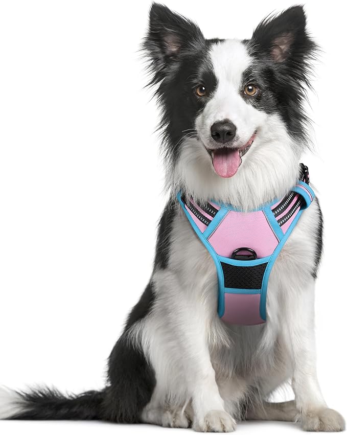 rabbitgoo Dog Harness No Pull with 2 Leash Clips, Adjustable Soft Padded, Reflective Oxford No Choke Pet Vest with Easy Control Handle for Medium Sized Dogs, Pink & Blue, M rabbitgoo