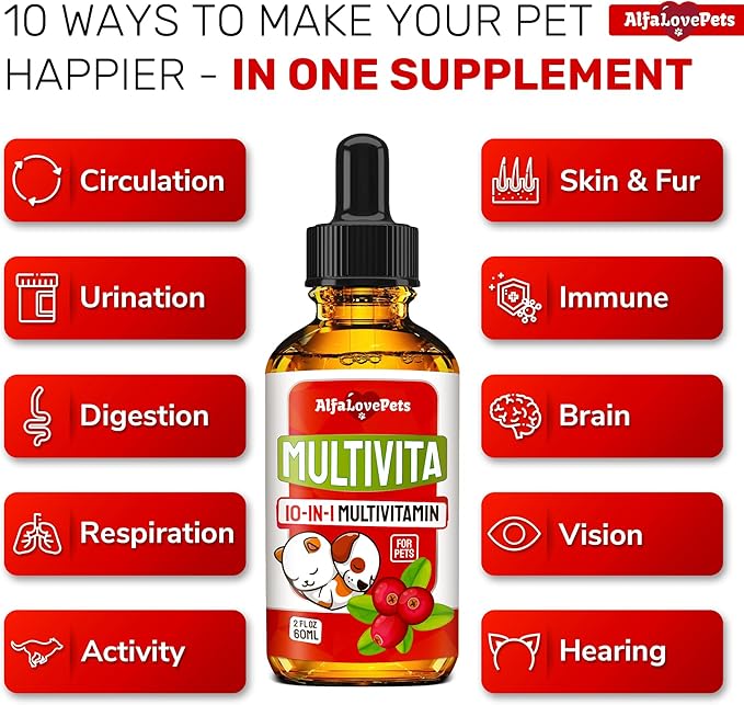 ะกat Vitamins for Indoor Cats in Drops โ Liquid Multivitamin for Dogs โ Dog Multivitamin Liquid Supplement โ Cat Multivitamin โ Multivitamin for Dogs โ Vitamin C for Cats โ 2 oz AlfaLovePets