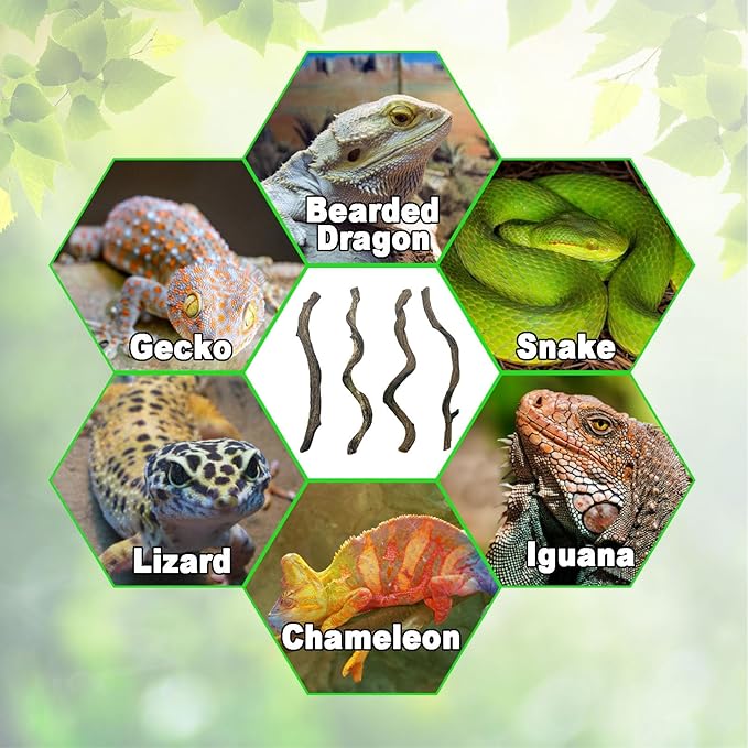 BNOSDM Reptile Forest Climbing Branch Decor Crested Gecko Climb Wood Natural Branches Tree for Snake Frog Chameleon Spider Bearded Dragon Terrarium Habitat Tank Accessories,4PCS BNOSDM