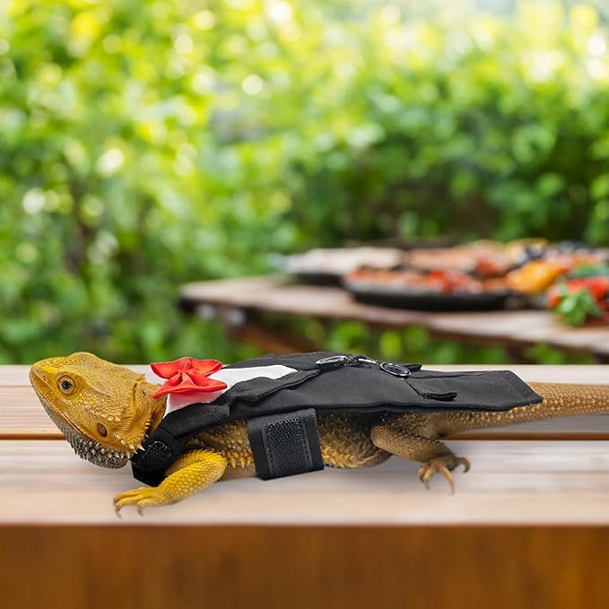 CUSOZWO Bearded Dragon Costume Harness and Leash Set - Cute Tuxedo Wedding Lizard Reptile Costume Outfit with Short Leash Small Animal Clothes for Birthday, Wedding, Holiday, Walking Outdoor CUSOZWO
