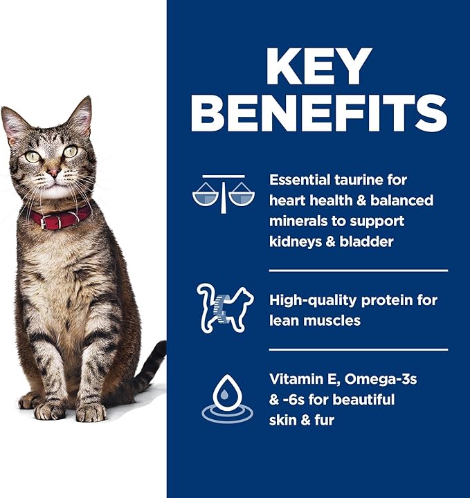 Hill's Science Diet Adult 1-6, Adult 1-6 Premium Nutrition, Dry Cat Food, Chicken Recipe, 16 lb Bag - PAWPICO