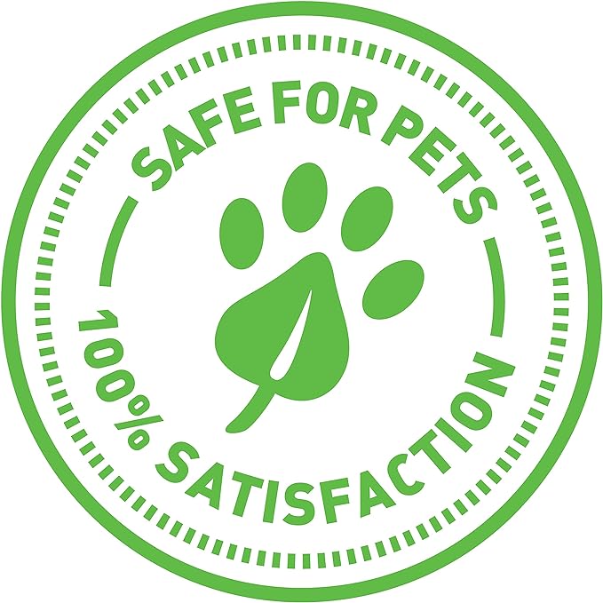 SmartyKat Crazy Catch 3-Part Breakaway Wand Cat Toy - Green/Yellow/Gray, One Size - PAWPICO
