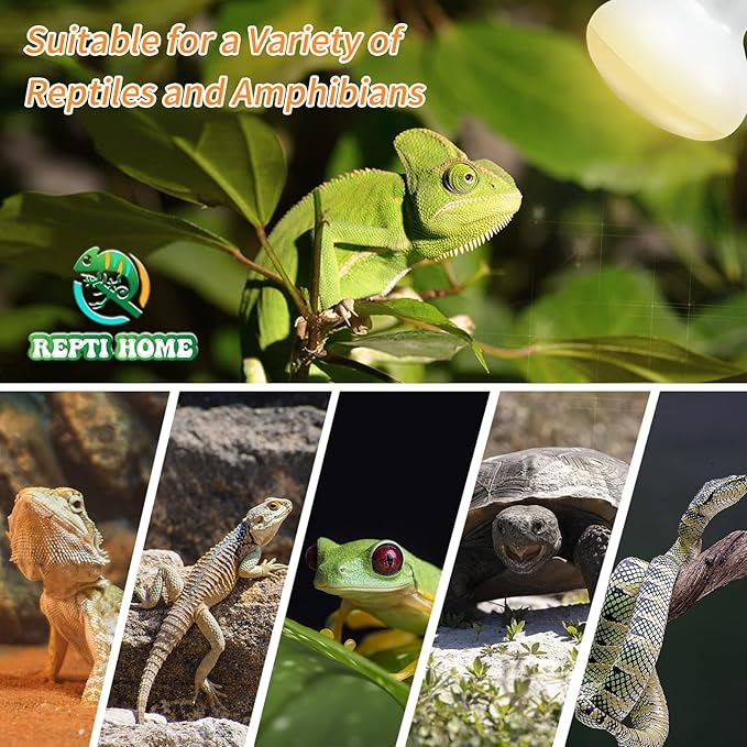New Upgrade Reptile Heat Lamp Bulb (3rd Gen No Broken), 50W 2 Pack Basking Spot Light for Reptiles & Amphibians,UVA Daylight Heat Bulb for Bearded Dragon, Turtle REPTIHOME