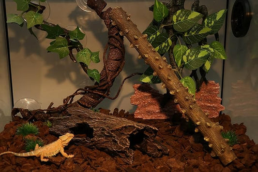 AQUA KT Reptile Hideout Tree Trunk Hollow Log Cork Bark for Lizard Bearded Dragon Snake Chameleon Hermit Crab Leopard Gecko Terrarium Habitat Decoration AQUAKT