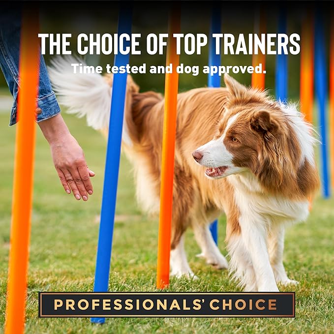 Cloud Star Tricky Trainers Soft & Chewy Dog Training Treats 5 oz Pouch, Cheddar Flavor, Low Calorie Behavior Aid with 130 treats - PAWPICO