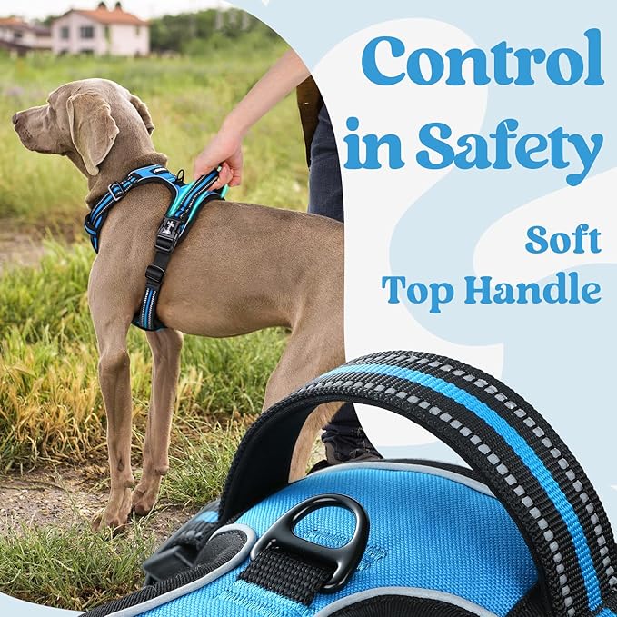 rabbitgoo Dog Harness for Large, No Pull Pet Harness with 3 Buckles, Adjustable Soft Padded Pooch Vest with Instant Control Handle, Easy Walking Reflective Pet Vest for Extra Large Dogs, Sky Blue, XL rabbitgoo