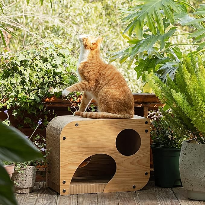FUKUMARU Cat Scratcher Lounge, 17.3 X 9.8 X 13.4 Inches Vertical and Horizontal Cardboard Cats House, Cat Scratching Post for Indoor Cats as Tunnel and Sofa - PAWPICO