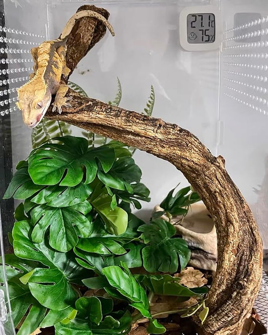 Woyrise Reptile Artificial Plants for Terrarium, Amphibian Habitat Decor Plant, Bearded Dragon Tank Decorations fit Gecko Lizard Chameleon Ball Python Snake Frog - Monstera Bush Woyrise