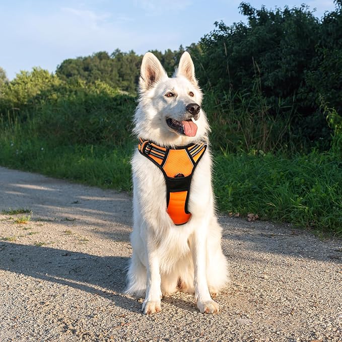 Eagloo Dog Harness Large Breed, No Pull Service Vest with Reflective Strips and Control Handle, Adjustable and Comfortable for Easy Walking, No Choke Pet Harness with 2 Metal Rings, Orange, XL GoExplorewithEagloo