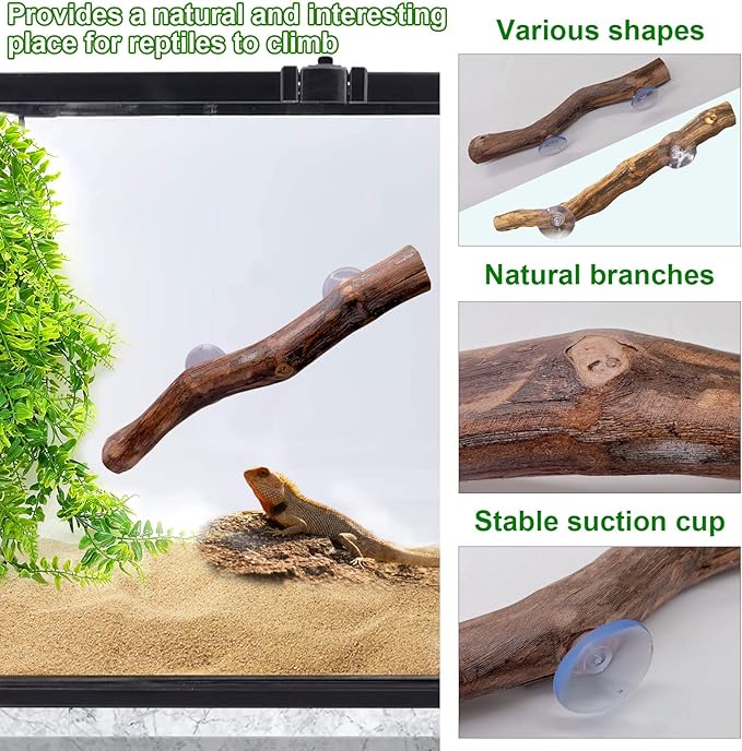 kathson Reptile Corner Branch Tank Habitat Decorations Bearded Dragons Plants Hanging Plastic Fake Climbing Terrarium Plant Decor for Amphibian Lizards Crested Gecko Snake Hermit Crab Frogs 3Pcs kathson