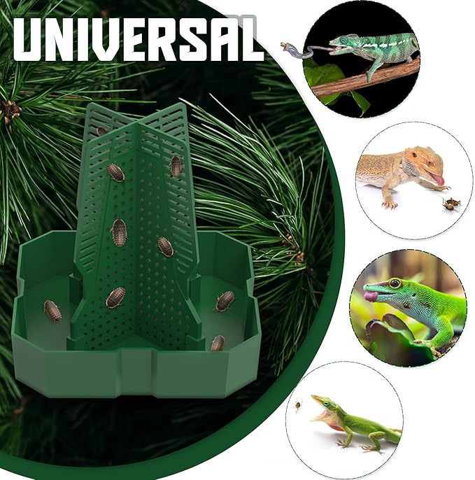 Chameleon Feeding Bowl for Reptile Terrarium, Climbable Design for Reptile to Hunt, Suitable for Feeding Lizards, Bearded Dragons, Geckos, Guardians, Frogs, Green, Small Fischuel