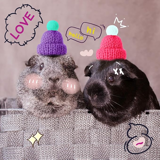 Kajaia 10 Pieces Pet Snake Hat Hamster Hat with Adjustable Elastic Strap, Snake Ball Hamster Python Lizard Guinea Pig Knitted Hat with Pompon for Small Reptile Animal Decoration Accessories Kajaia