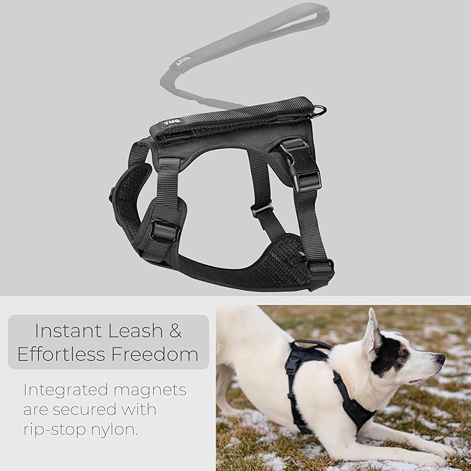 TUG Grab Dog Harness | Integrated Traffic Leash Magnetically Attached for Quick Control (Large/Black) TUG
