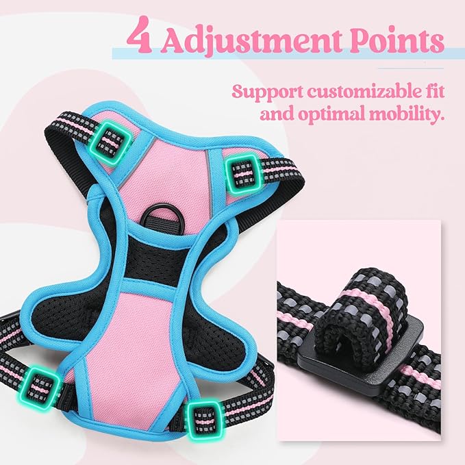 rabbitgoo Dog Harness No Pull with 2 Leash Clips, Adjustable Soft Padded, Reflective Oxford No Choke Pet Vest with Easy Control Handle for Puppy, Pink & Blue, XS rabbitgoo