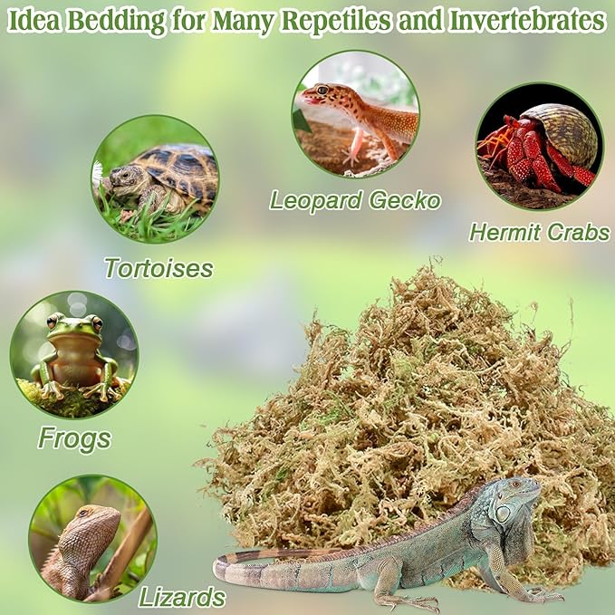 Halatool 6OZ Premium Sphagnum Moss for Reptiles- 8QT Natural Dried Terrarium Moss for Reptile Tank, Reptile Moss Bedding for Turtles Geckos Snakes Frogs Hamsters HALATOOL