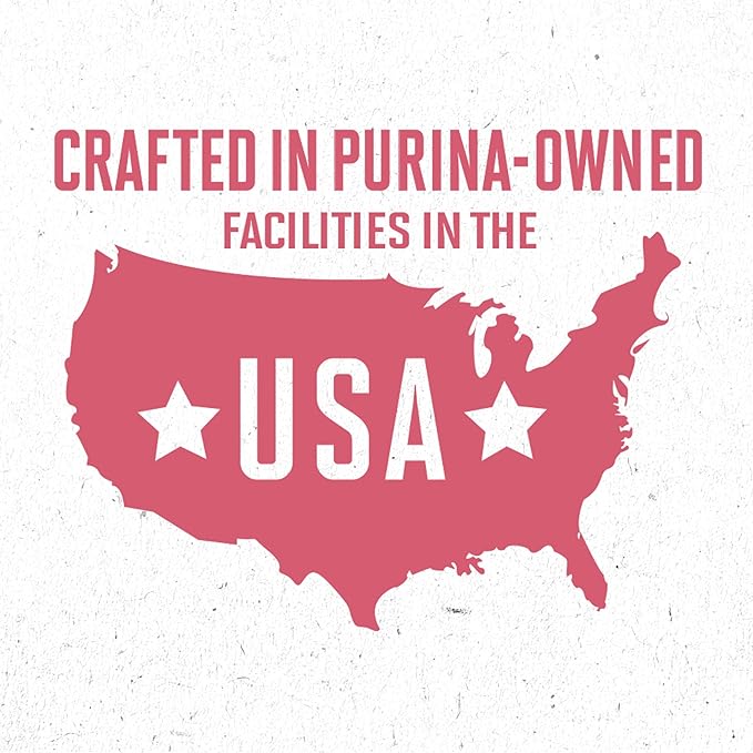 Purina ONE Natural, Sensitive Stomach Dry Dog Food, +Plus Skin & Coat Formula - 16.5 lb. Bag - PAWPICO