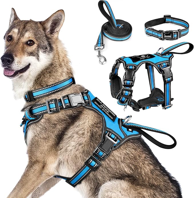 WINSEE Pet Harness Collar and Leash Set, All-in-one Reflective Dog Harness No Pull with Adjustable Buckles for Puppies, Small, Medium, Large, and Extra-Large Dogs (X-Large, Blue) WINSEE