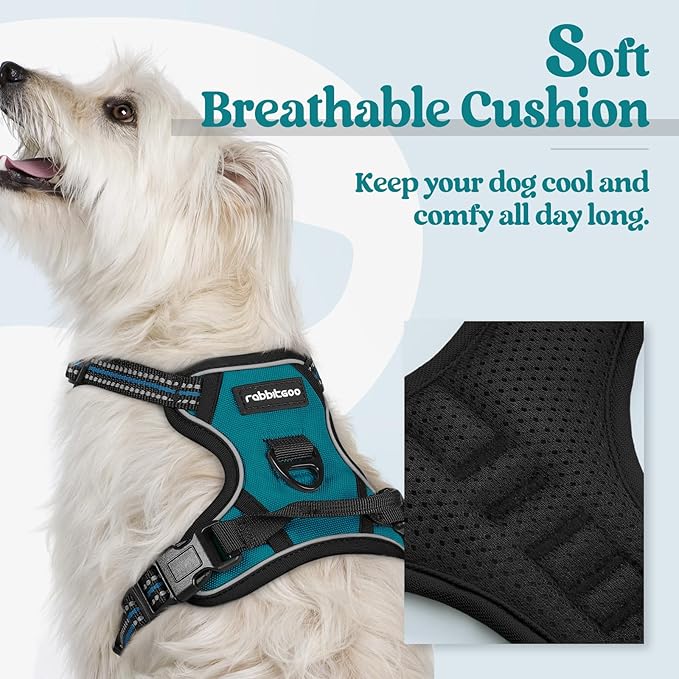 rabbitgoo Dog Harness No Pull with 2 Leash Clips, Adjustable Soft Padded, Reflective Oxford No Choke Pet Vest with Easy Control Handle for Puppy, Blue Coral, XS rabbitgoo