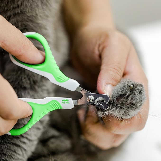 Mr. Pen- Cat Nail Clipper, Spring Green & White Cat Nail Trimmer, Cat Nail Clippers, Cat Claw Clippers, Cat Clippers for Nails, Pet Nail Clippers, Kitten Nail Clipper, Small Dog Nail Clipper - PAWPICO