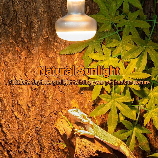 REPTI ZOO 2 Pack Heat Lamp 75W, Intense Basking Spot Simulated Natural Sunlight Heating Lamp Bulb, Heat Emitter UVA Heat Lamp Bulb for Reptile Chickens Pet Brooder REPTIZOO