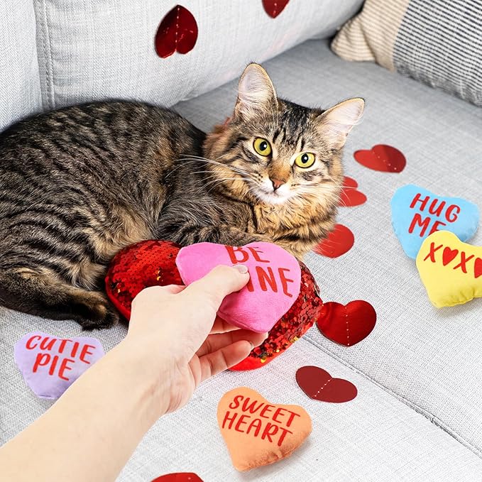 Valentines Cat Catnip Toys 6PCS Sweetheart Sayings Valentines Day Cat Toys Gifts for Indoor Cat Cute Funny Interactive Kitten Toys Boredom Relief Teeth Cleaning Chew Bite Kick Kitty Toys - PAWPICO