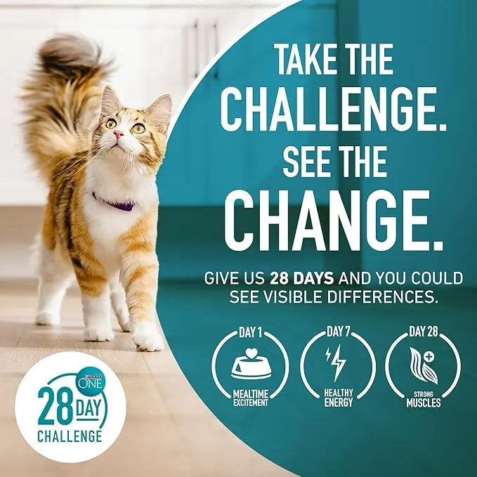 Purina ONE Natural, High Protein, Grain Free Dry Cat Food, True Instinct With Real Chicken - 3.2 lb. Bag - PAWPICO