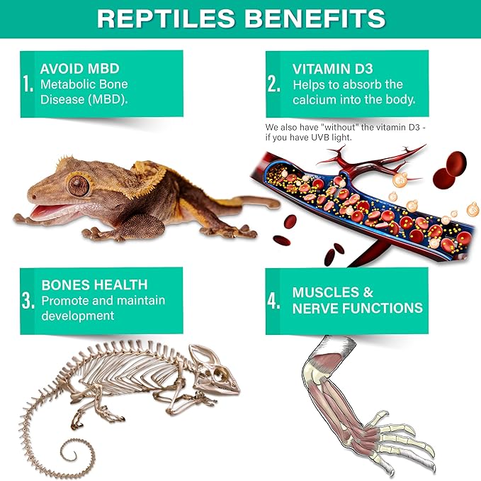4oz All Reptile Calcium with Vitamin D3, Phosphorus-Free, Ultrafine Powder. Pure dust, Real Fruits Blend Flavored Ready to Use Supplement, for Lizards & Amphibians. Made in The USA. Enjoy ! Gargeer