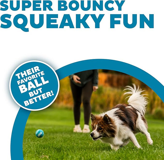 Outward Hound Squeaker Ballz Fetch Dog Toy, Small- 4 Pack - PAWPICO