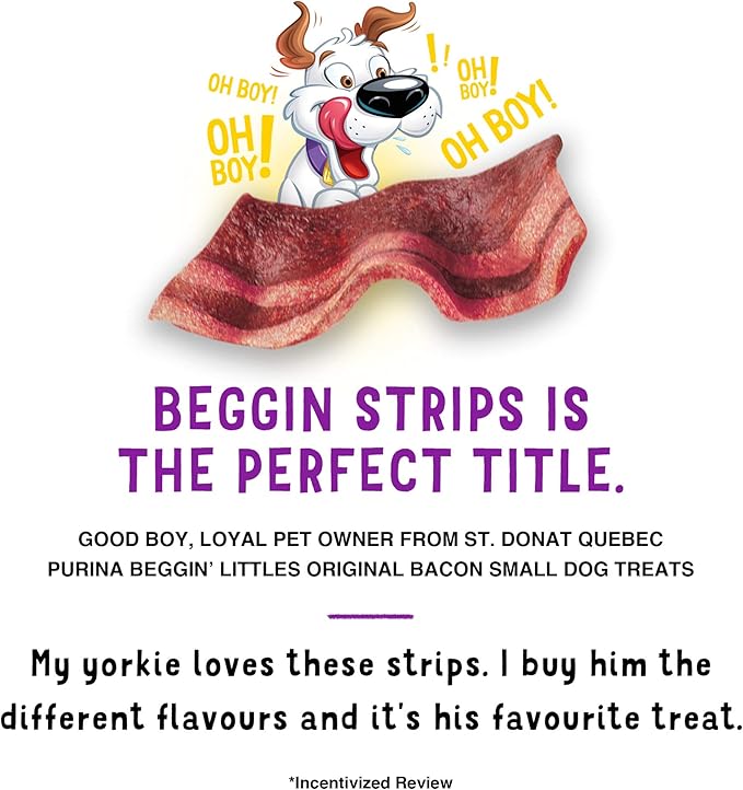 Purina Beggin' With Real Meat Dog Treats, Fun Size Original With Bacon Flavor - 25 oz. Pouch - PAWPICO