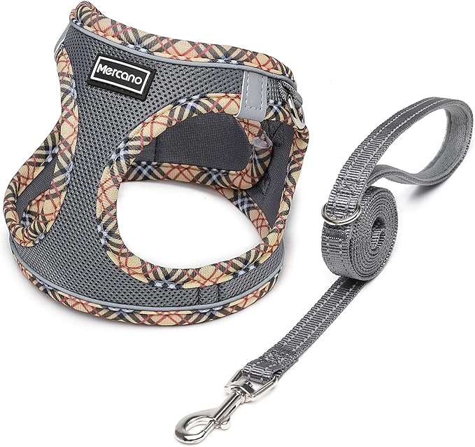 Mercano Soft Mesh Dog Harness and Leash Set, No-Chock Step-in Reflective Breathable Lightweight Easy Walk Escape Proof Vest Harnesses with Safety Buckle for Small Medium Dogs, Cats (Grey, XXS) PAWPICO