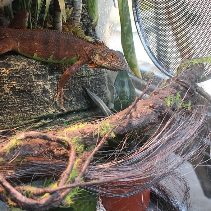 BNOSDM Reptile Bend-A-Branch Vines with Moss Bendable Jungle Climbing Vine Pet Habitat Decor for Bearded Dragons Chameleon Geckos Snakes Lizards Frogs BNOSDM