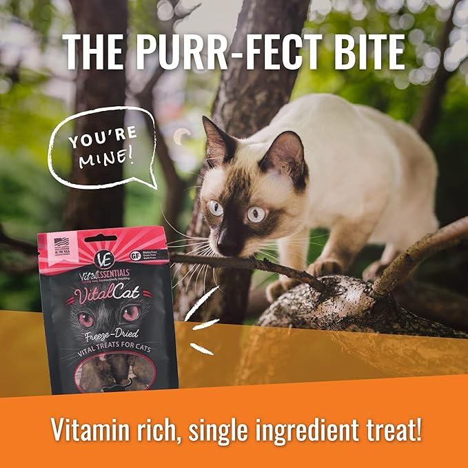 Vital Essentials Freeze Dried Cat Food, Rabbit Mini Nibs 12 oz VitalEssentials