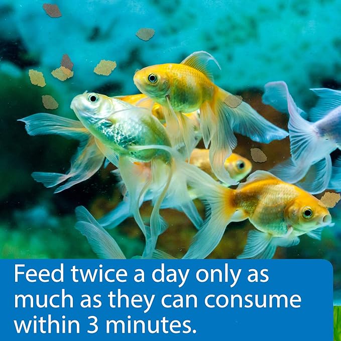 API GOLDFISH FLAKES Fish Food .36-Ounce Container API