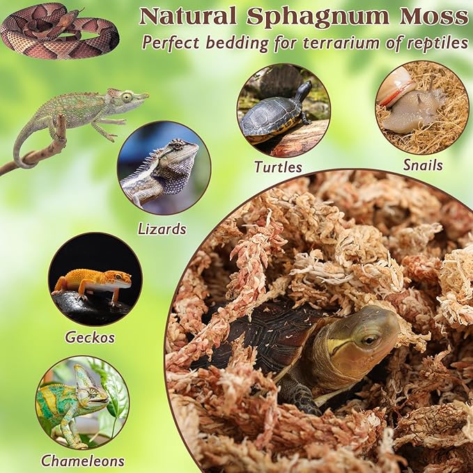 ZeeDix 1.1LBS Sphagnum Moss for Reptiles, 25QT Premium Dried Moss for Terrarium Long Fibered Leopard Gecko Moss Natural Sphagnum Peat Moss Bedding for Frogs Anoles Snake Turtle Plants ZeeDix