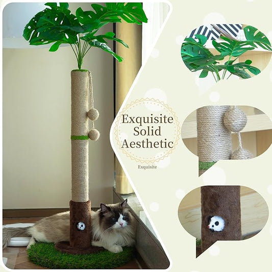 Cat Scratching Post for Indoor Cats and Kitten - 35.43" Tall Cat Scratching Post with Sisal Rope,Palm Tree Cat Scratch Post with Hanging Ball - PAWPICO